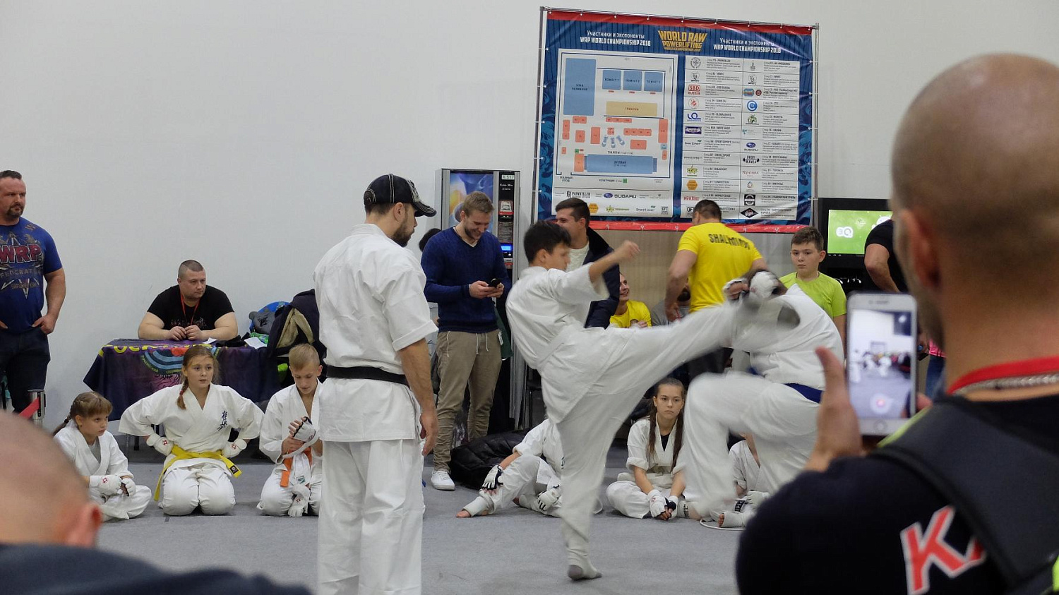 Чемпионат мира по пауэрлифтингу WRPF 2018