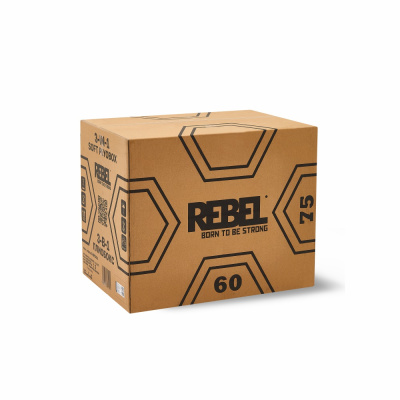 Плиометрический бокс 3 в 1 REBEL